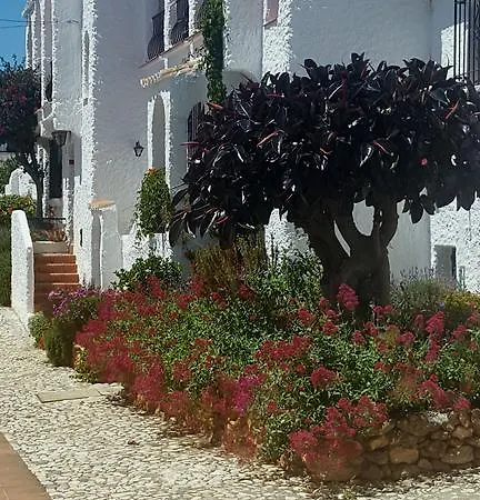 El Capistrano Sur