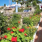 El Capistrano Sur 2* نيرخا
