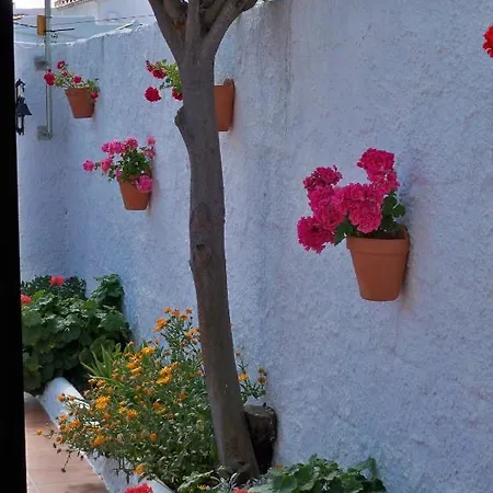 El Capistrano Sur نيرخا
