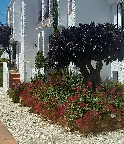 El Capistrano Sur